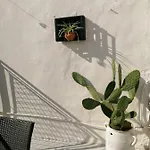 Tatil Evi Casa Dei Nonni *